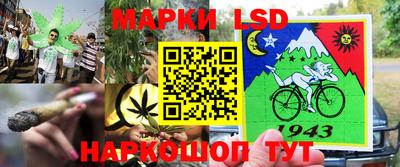 ПСИЛОЦИБИНОВЫЕ ГРИБЫ Нальчик
