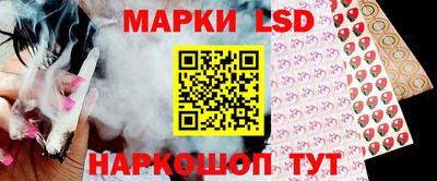 шишки Нарткала
